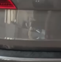 Depois do martelinho de ouro em capô em Caxias do Sul